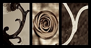 Wall_Art_Alphabet_Photography_Art_ 1130